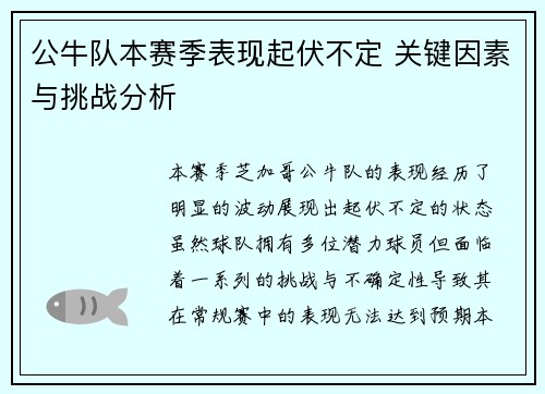 公牛队本赛季表现起伏不定 关键因素与挑战分析