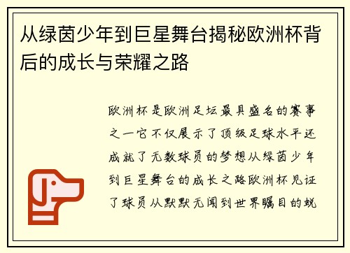 从绿茵少年到巨星舞台揭秘欧洲杯背后的成长与荣耀之路